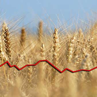 Börse weizen Getreidepreise: Die